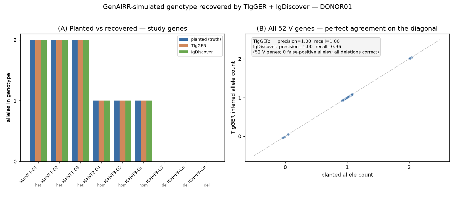 GenAIRR-simulated genotype recovered by TIgGER and IgDiscover: planted vs inferred allele counts agree for every gene